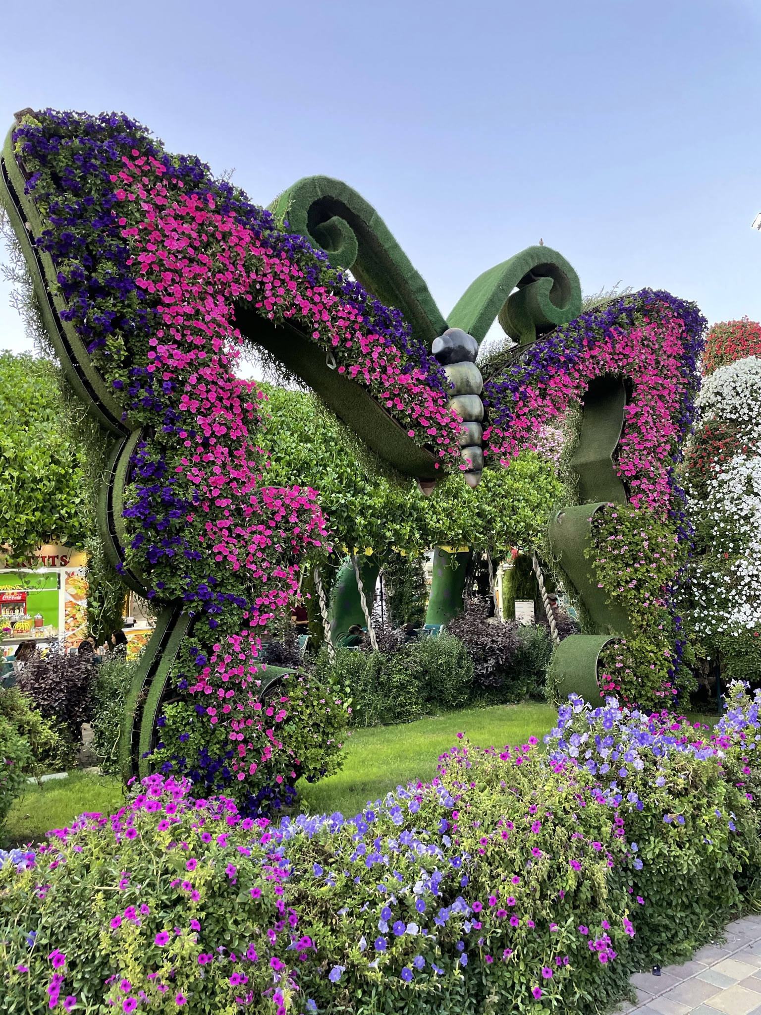 Miracle-Garden-9