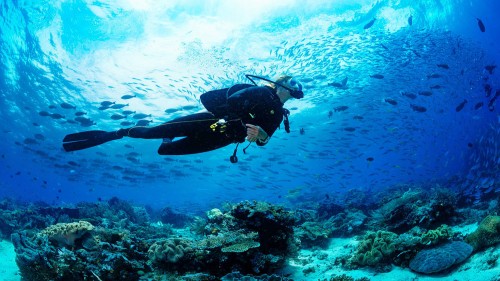 large_scuba-dive-dubai